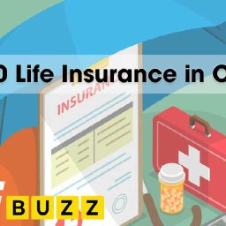 term-20-life-insurance-in-canada-term-20-life-insurance-in-canada-term-20-life-insurance-in-canada