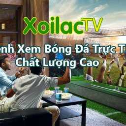 xoilac-tv-kenh-xem-bong-da-truc-tiep-chat-luong-cao