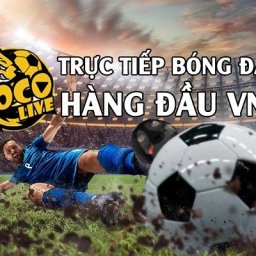 socolive-trang-truc-tiep-bong-da-hap-dan-nhat-2024