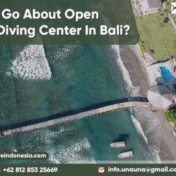 how-to-go-about-open-water-diving-center-in-bali