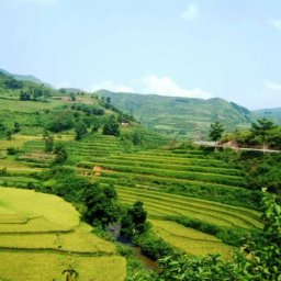 whats-in-yen-minh-ha-giang-top-5-tourist-attractions-in-2024-ha-giang-amazing-tours