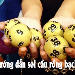 rong-bach-kim-888-chinh-xac-100-soi-cau-top-rong-bach-kim-666-247