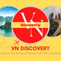 vn-discovery