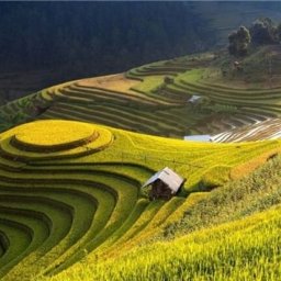 when-is-ideal-ha-giang-loop-weather-for-backpackers-3-advices-in-2024-vietnam-travel-vietnam-tours-landscape-photography