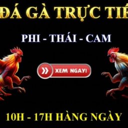 da-ga-thomo-da-ga-cua-dao-da-ga-truc-tiep-hom-nay