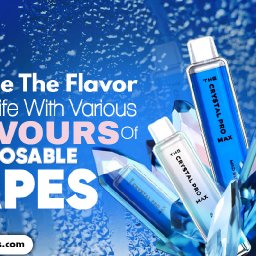 enhance-the-flavor-of-your-life-with-various-flavours-of-disposable-vapes