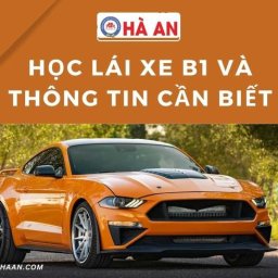 bang-lai-xe-b1-nhung-dieu-can-biet-truoc-khi-dang-ky-thi-trong-2024-dieu