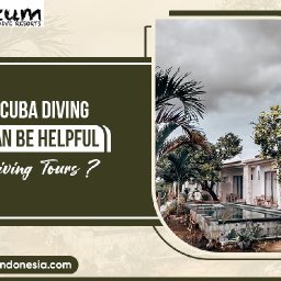 how-good-scuba-diving-training-can-be-helpful-in-your-diving-tours