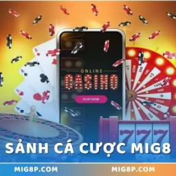 mig8-cap-nhat-xu-huong-ca-cuoc-moi-nhat-2025