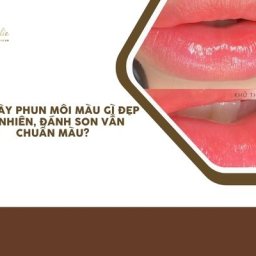 tet-nay-phun-moi-mau-gi-dep-tu-nhien-danh-son-van-chuan-mau