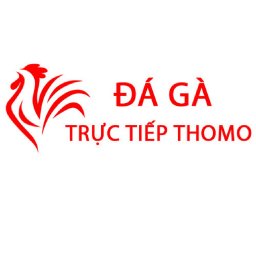 da-ga-truc-tiep-thomo-hom-nay