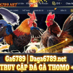 ga6789-daga6789net-trang-web-da-ga-thomo-188k