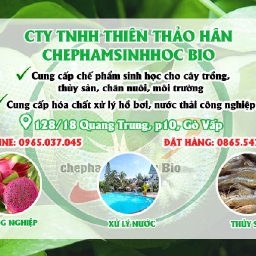 cong-ty-tnhh-thien-thao-han-chephamsinhhoc-bio