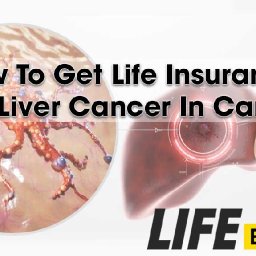 how-to-get-life-insurance-with-liver-cancer-in-canada-how-to-get-life-insurance-with-liver-cancer-in-canada-how-to-get-life-insu