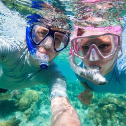 what-makes-snorkeling-a-must-do-adventure-in-catalina-island