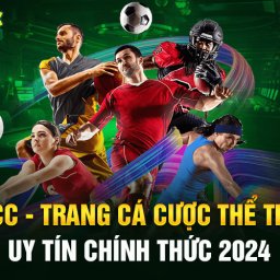 k8cc-trang-ca-cuoc-the-thao-uy-tin-chinh-thuc-2024