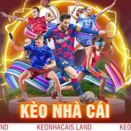 keo-nha-cai-nhan-dinh-ty-le-keo-nha-cai-cuc-chuan-2024