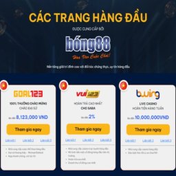 bong88-viet-nam-link-vao-bong-88-khong-bi-chan-2024