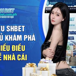 shbet-casino-shbet-trang-chu-top1-google-shbet