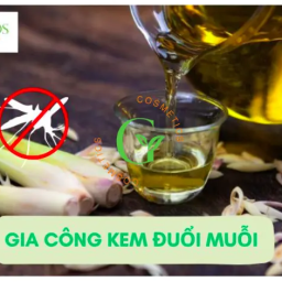 gia-cong-kem-duoi-muoi-chong-muoi-dot-hieu-qua