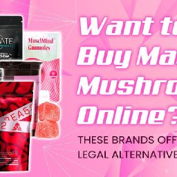 want-to-buy-magic-mushrooms-online-heres-what-to-look-for