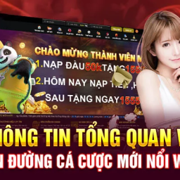 win55-dang-cap-nha-cai-noi-hoi-tu-niem-vui-chien-thang