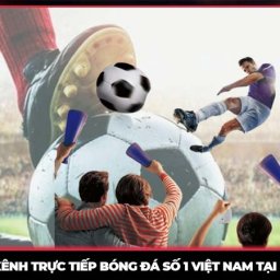 goaldaddy-truc-tiep-bong-da-euro-2024-truc-tiep-bong-ro