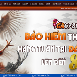 ga6789-diem-den-ly-tuong-cho-dam-me-da-ga-truc-tuyen