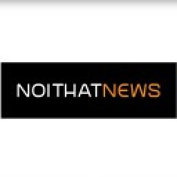 noithatnews