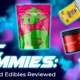 thc-gummies-top-5-weed-edibles-reviewed