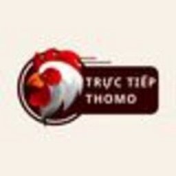 truc-tiep-thomo