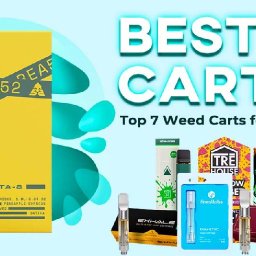 best-carts-top-7-weed-carts-for-sale-2024