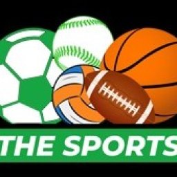 tinthethaothesport-band