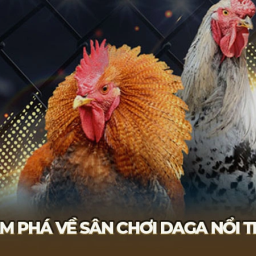 daga-trang-chu-da-ga-thomo-truc-tuyen-chinh-thuc-2025