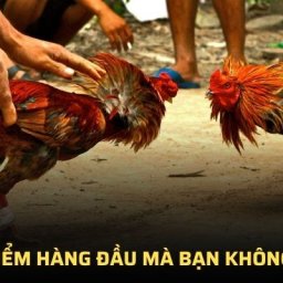 ga179-trang-chu-ga179-san-choi-chinh-thuc-moi-nhat-2025