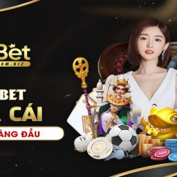 77bet-login-77-bet-casino-khong-bi-chan77betdownload
