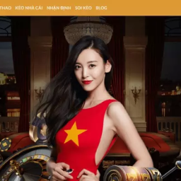 23win-lua-chon-hang-dau-trong-the-gioi-ca-cuoc-online