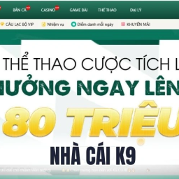 k9-nha-cai-ca-cuoc-uy-tin-voi-dich-vu-hang-dau