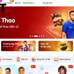 hdbet-nha-cai-ca-cuoc-the-thao-hang-dau-viet-nam-hdbetdev