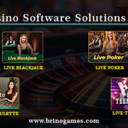 best-live-casino-software-provider-brino-games