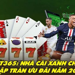 bet365-bet365ballnet-trang-chu-ca-cuoc-uy-tin-nam-2024