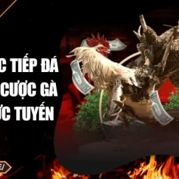 sv88-truc-tiep-da-ga-24-7-ca-cuoc-ga-thomo-truc-tuyen