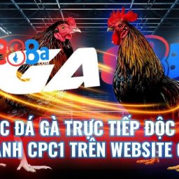 ga888-nha-cai-da-ga-truc-tuyen-uy-tin-tang-100k