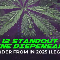 12-standout-online-dispensaries-to-order-from-in-2025-legally