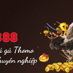 sv388-san-choi-ca-cuoc-da-ga-thomo-uy-tin-va-chuyen-nghiep