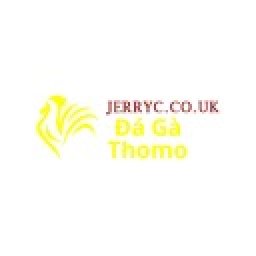 dagajerryc-da-ga-truc-tiep-thomo