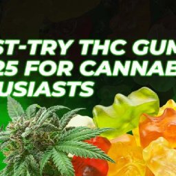 5-must-try-thc-gummies-in-2025-for-cannabis-enthusiasts