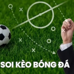 bongdalu-trang-chu-bong-da-lu-ti-le-keo-moi-nhat-2025