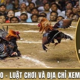 da-ga-thomo-xem-da-ga-campuchia-truc-tiep-hom-nay
