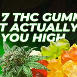 thc-gummies-reviewing-the-top-7-picks-2025